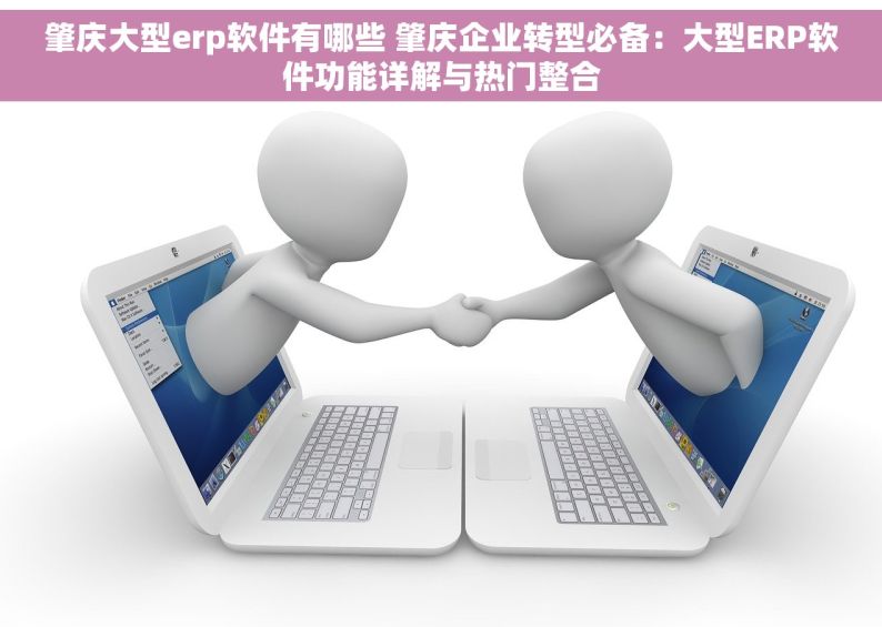 肇庆大型erp软件有哪些 肇庆企业转型必备：大型ERP软件功能详解与热门整合