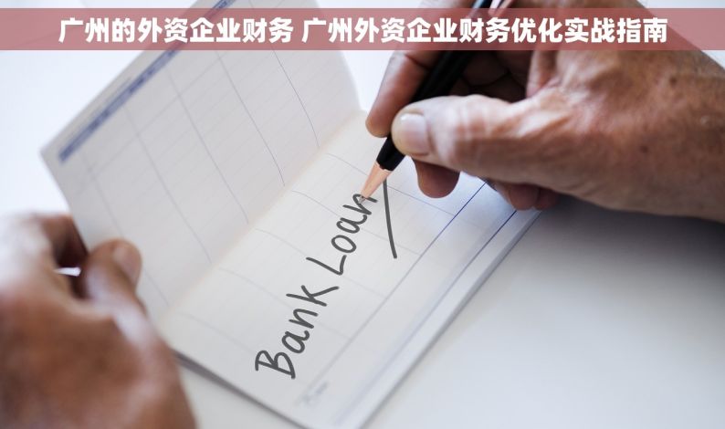 广州的外资企业财务 广州外资企业财务优化实战指南