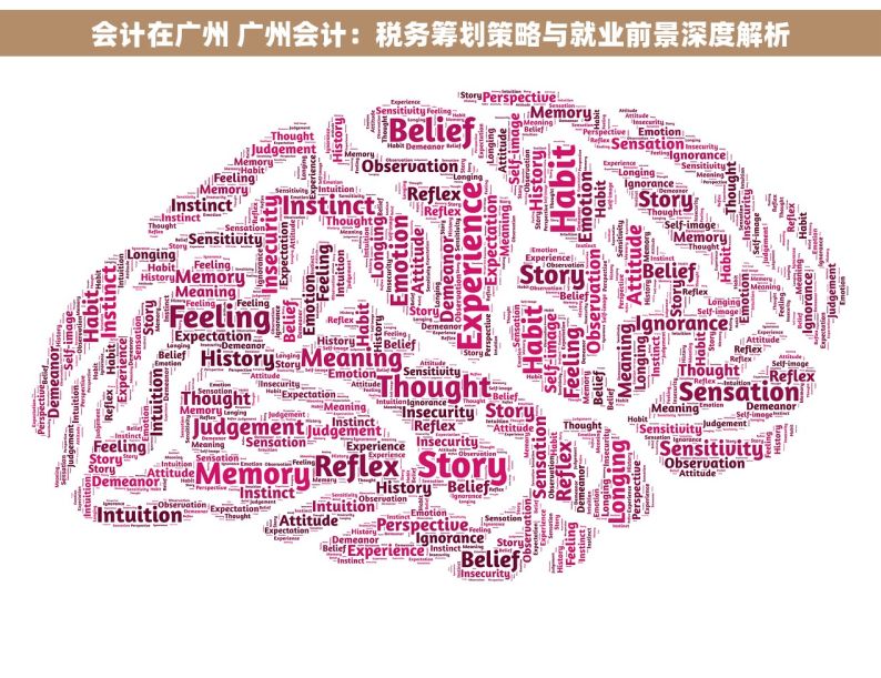 会计在广州 广州会计：税务筹划策略与就业前景深度解析