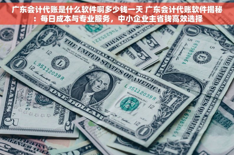 广东会计代账是什么软件啊多少钱一天 广东会计代账软件揭秘：每日成本与专业服务，中小企业主省钱高效选择
