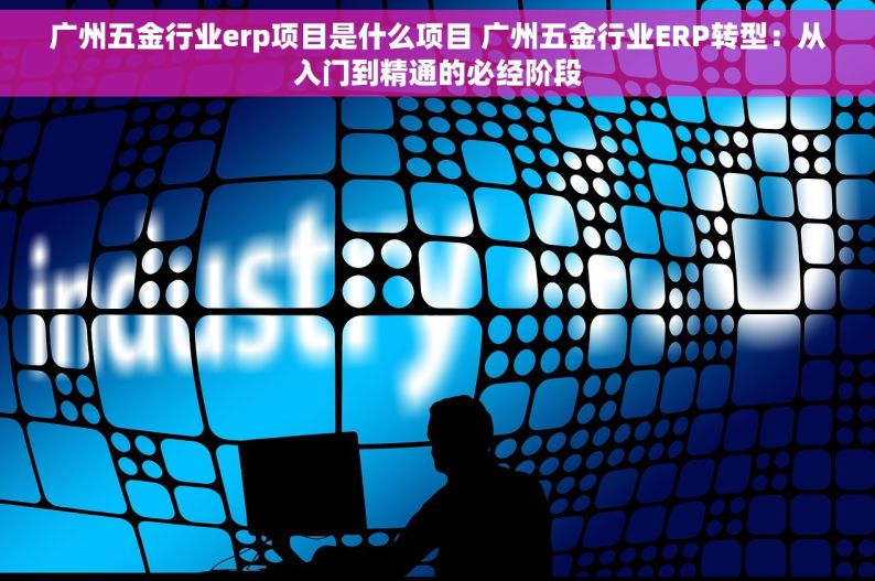 广州五金行业erp项目是什么项目 广州五金行业ERP转型：从入门到精通的必经阶段