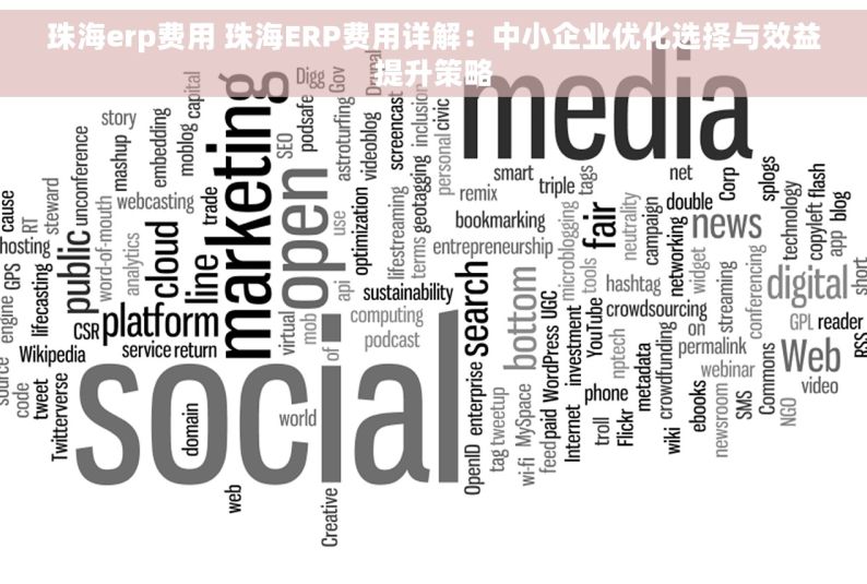 珠海erp费用 珠海ERP费用详解：中小企业优化选择与效益提升策略