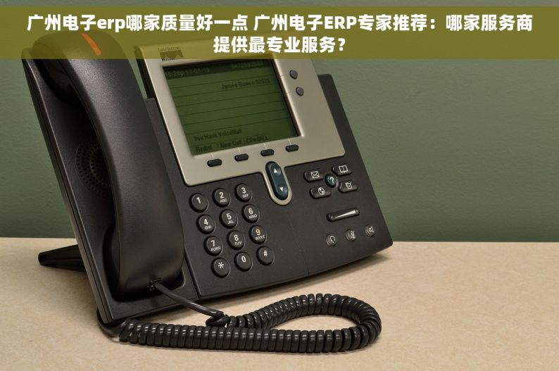 广州电子erp哪家质量好一点 广州电子ERP专家推荐：哪家服务商提供最专业服务？