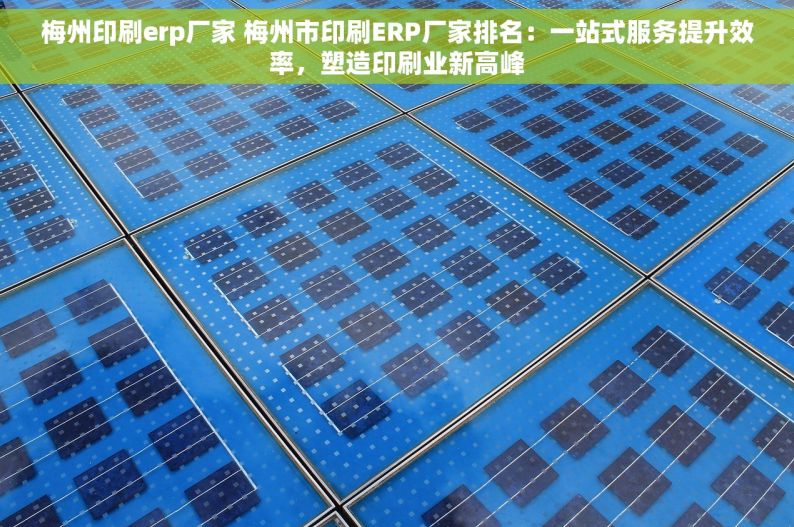 梅州印刷erp厂家 梅州市印刷ERP厂家排名：一站式服务提升效率，塑造印刷业新高峰