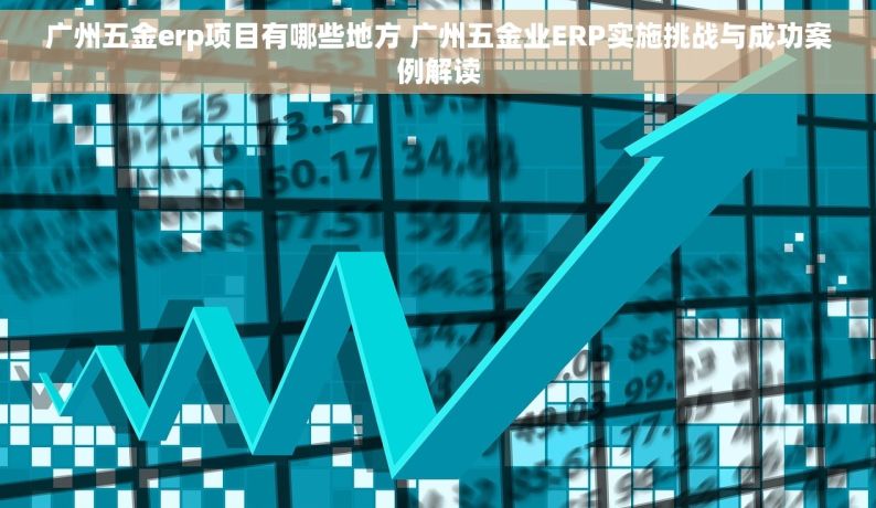 广州五金erp项目有哪些地方 广州五金业ERP实施挑战与成功案例解读