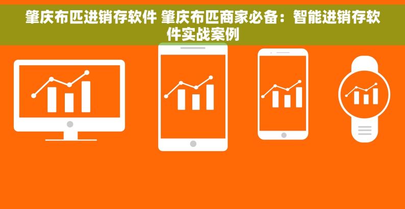 肇庆布匹进销存软件 肇庆布匹商家必备：智能进销存软件实战案例