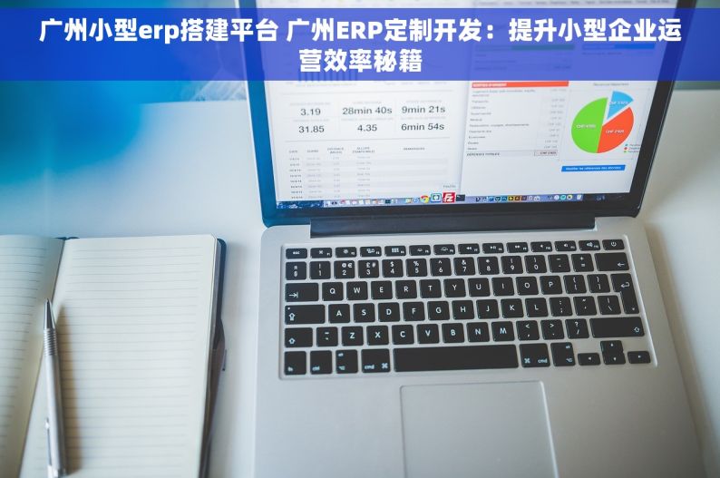 广州小型erp搭建平台 广州ERP定制开发：提升小型企业运营效率秘籍