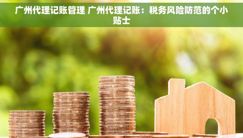 广州代理记账管理 广州代理记账：税务风险防范的个小贴士