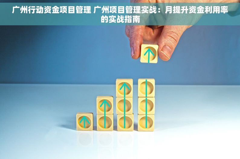 广州行动资金项目管理 广州项目管理实战：月提升资金利用率的实战指南