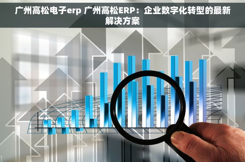 广州高松电子erp 广州高松ERP：企业数字化转型的最新解决方案