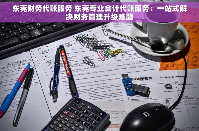 东莞财务代账服务 东莞专业会计代账服务：一站式解决财务管理升级难题