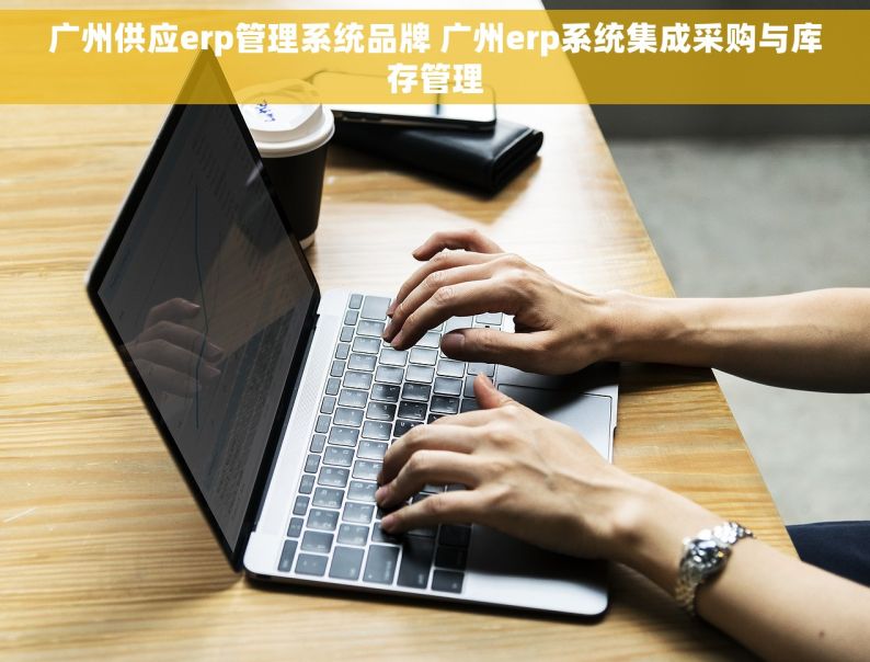 广州供应erp管理系统品牌 广州erp系统集成采购与库存管理