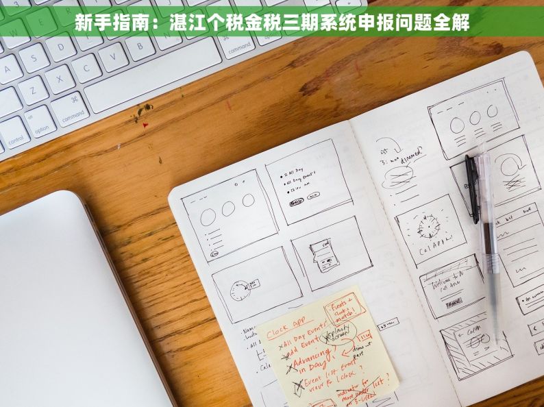 新手指南：湛江个税金税三期系统申报问题全解
