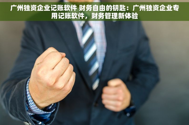 广州独资企业记账软件 财务自由的钥匙：广州独资企业专用记账软件，财务管理新体验