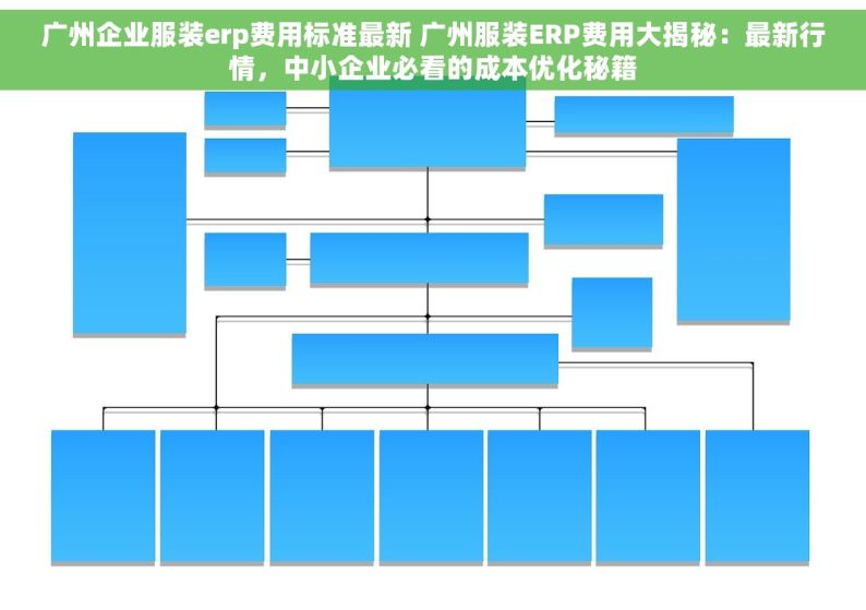 广州企业服装erp费用标准最新 广州服装ERP费用大揭秘：最新行情，中小企业必看的成本优化秘籍