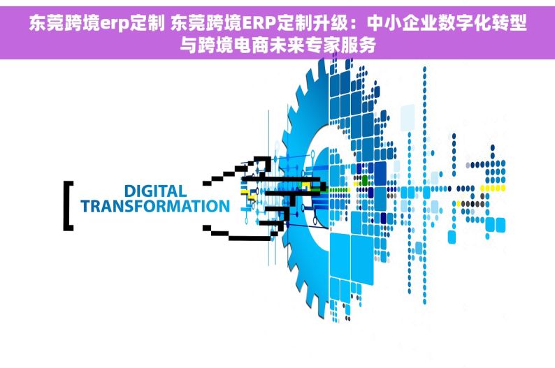 东莞跨境erp定制 东莞跨境ERP定制升级：中小企业数字化转型与跨境电商未来专家服务