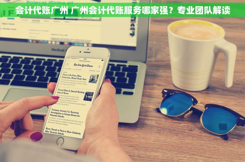 会计代账广州 广州会计代账服务哪家强？专业团队解读