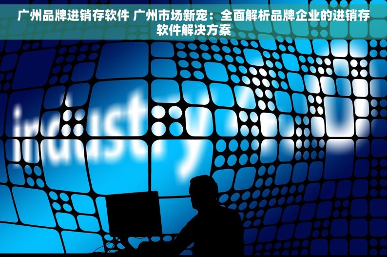 广州品牌进销存软件 广州市场新宠：全面解析品牌企业的进销存软件解决方案