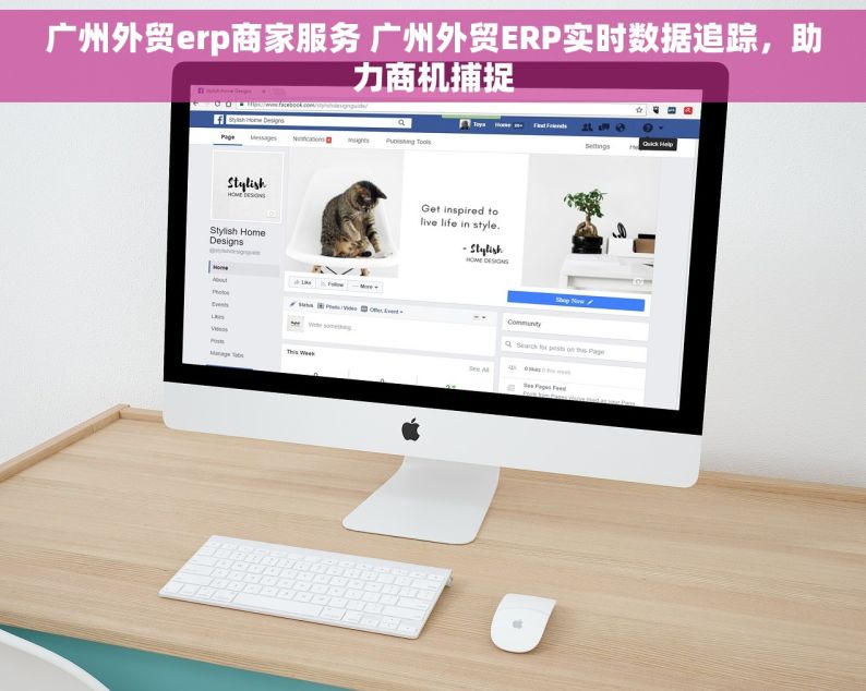 广州外贸erp商家服务 广州外贸ERP实时数据追踪，助力商机捕捉