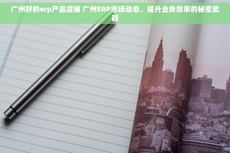 广州好的erp产品店铺 广州ERP市场动态，提升业务效率的秘密武器