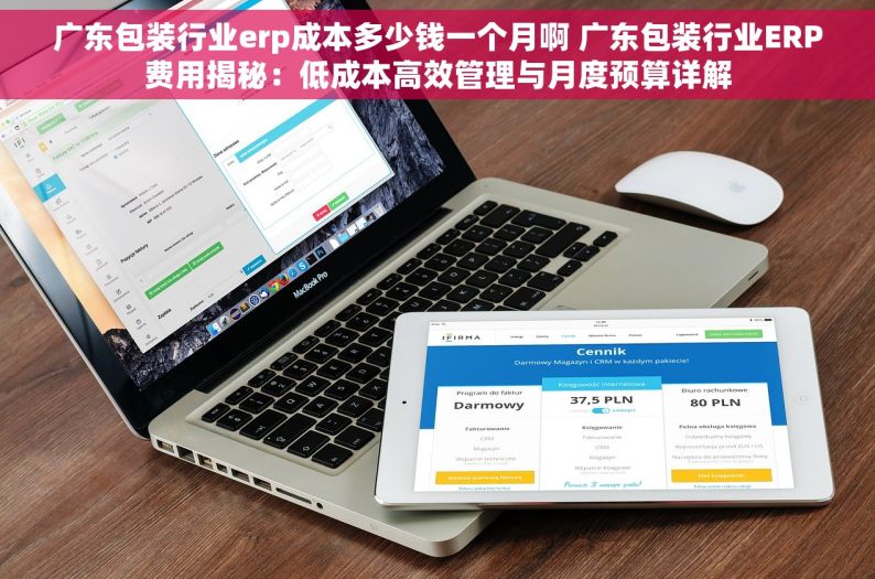 广东包装行业erp成本多少钱一个月啊 广东包装行业ERP费用揭秘：低成本高效管理与月度预算详解