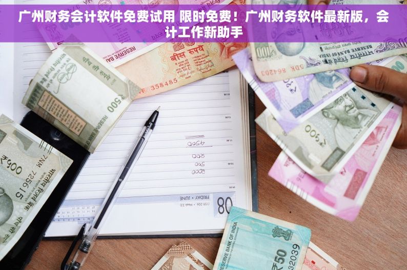 广州财务会计软件免费试用 限时免费！广州财务软件最新版，会计工作新助手