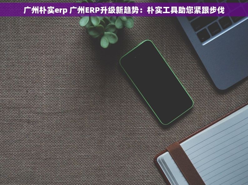广州朴实erp 广州ERP升级新趋势：朴实工具助您紧跟步伐