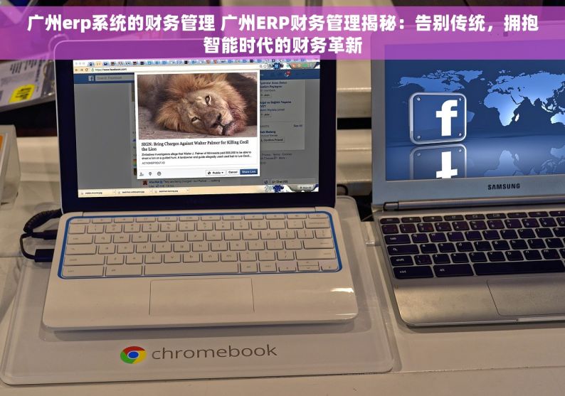 广州erp系统的财务管理 广州ERP财务管理揭秘：告别传统，拥抱智能时代的财务革新