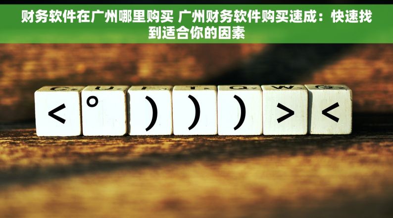 财务软件在广州哪里购买 广州财务软件购买速成：快速找到适合你的因素