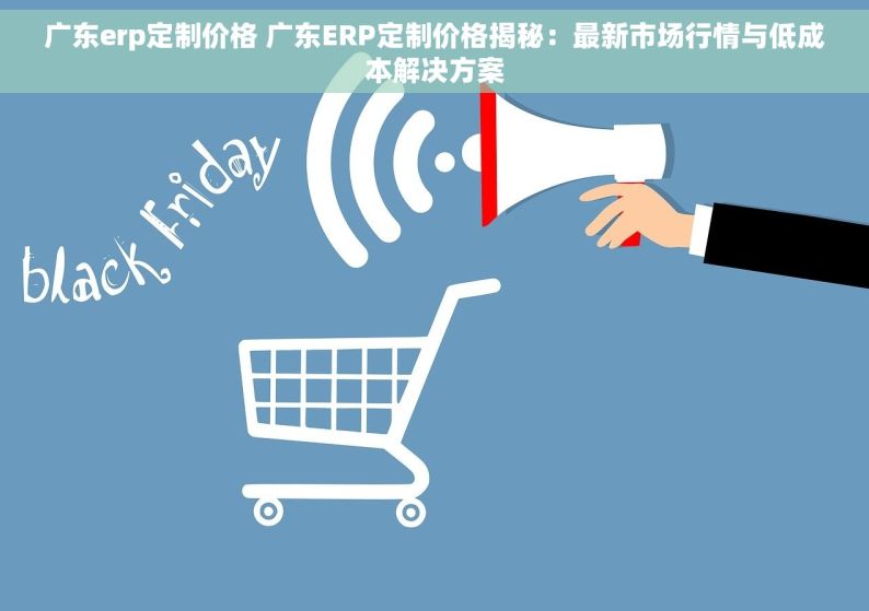 广东erp定制价格 广东ERP定制价格揭秘：最新市场行情与低成本解决方案