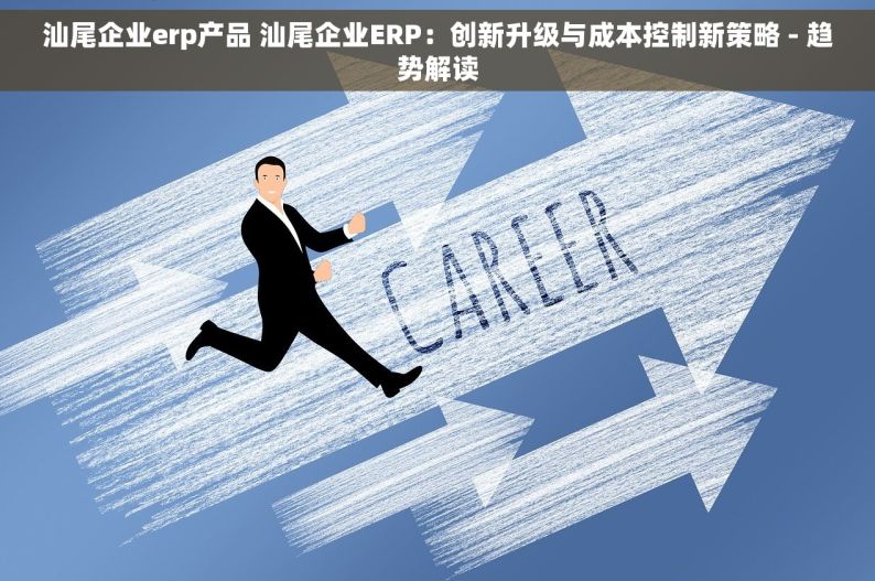 汕尾企业erp产品 汕尾企业ERP：创新升级与成本控制新策略 - 趋势解读
