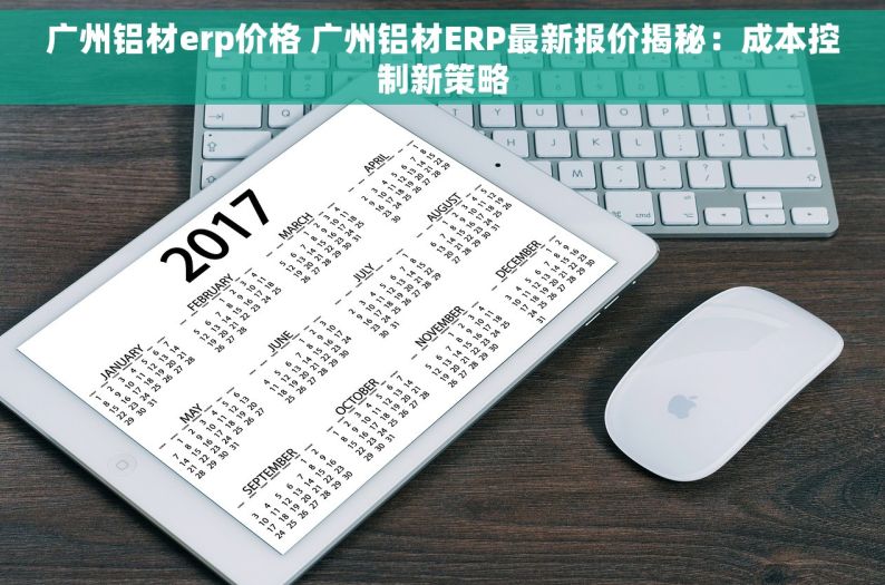 广州铝材erp价格 广州铝材ERP最新报价揭秘：成本控制新策略
