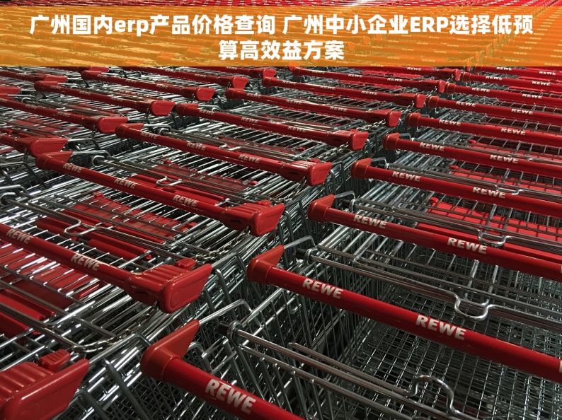 广州国内erp产品价格查询 广州中小企业ERP选择低预算高效益方案