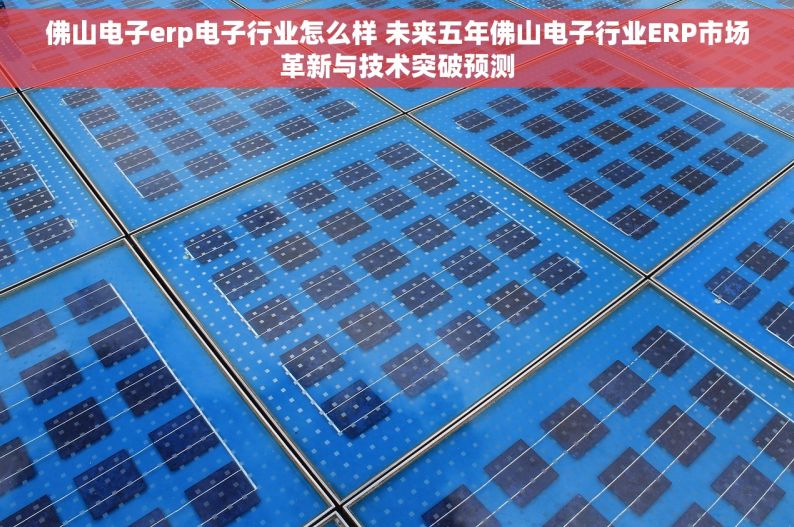 佛山电子erp电子行业怎么样 未来五年佛山电子行业ERP市场革新与技术突破预测