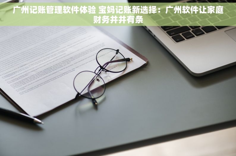 广州记账管理软件体验 宝妈记账新选择：广州软件让家庭财务井井有条