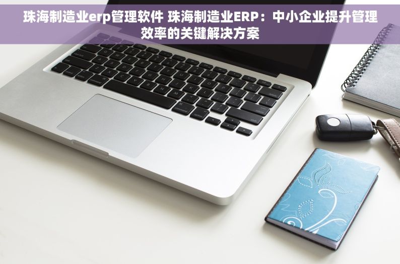 珠海制造业erp管理软件 珠海制造业ERP：中小企业提升管理效率的关键解决方案