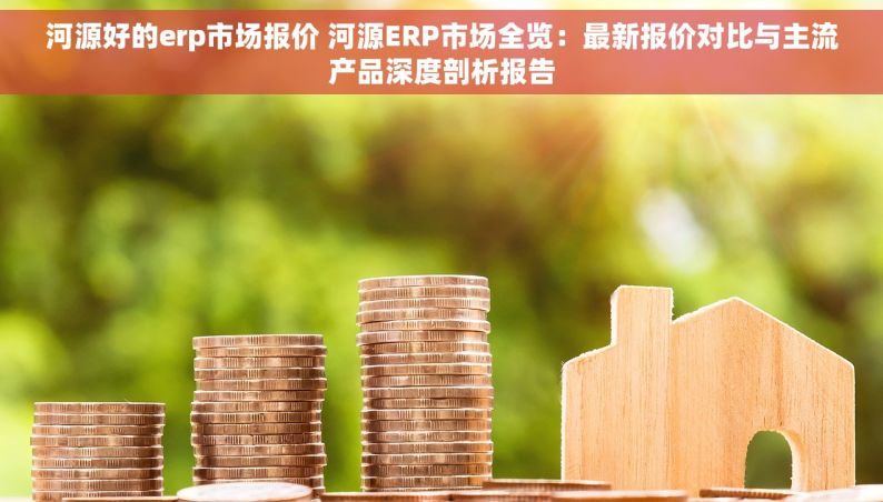 河源好的erp市场报价 河源ERP市场全览：最新报价对比与主流产品深度剖析报告