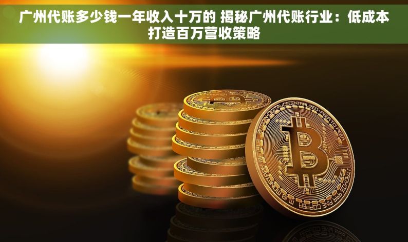 广州代账多少钱一年收入十万的 揭秘广州代账行业：低成本打造百万营收策略