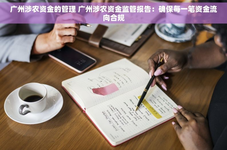 广州涉农资金的管理 广州涉农资金监管报告：确保每一笔资金流向合规