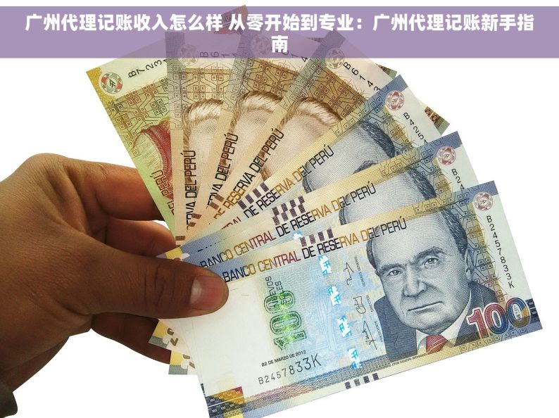 广州代理记账收入怎么样 从零开始到专业：广州代理记账新手指南