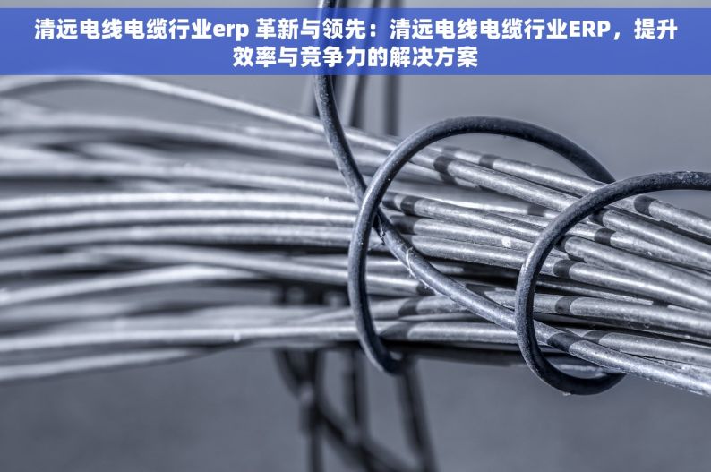 清远电线电缆行业erp 革新与领先：清远电线电缆行业ERP，提升效率与竞争力的解决方案