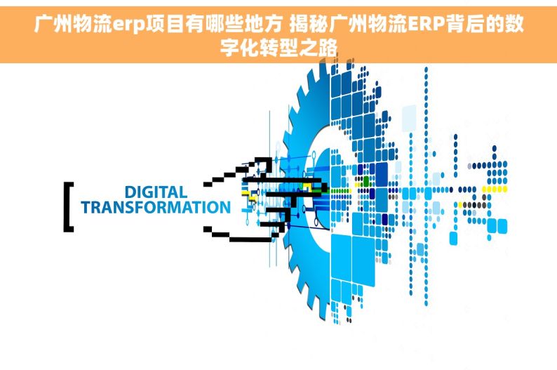 广州物流erp项目有哪些地方 揭秘广州物流ERP背后的数字化转型之路