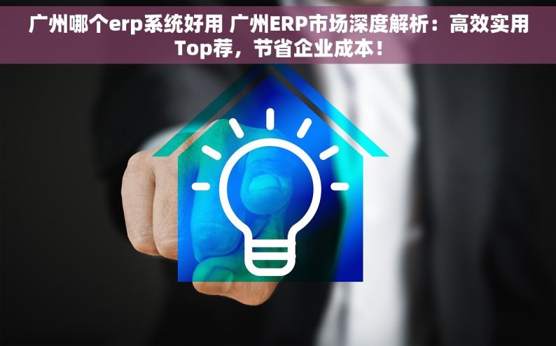 广州哪个erp系统好用 广州ERP市场深度解析：高效实用Top荐，节省企业成本！
