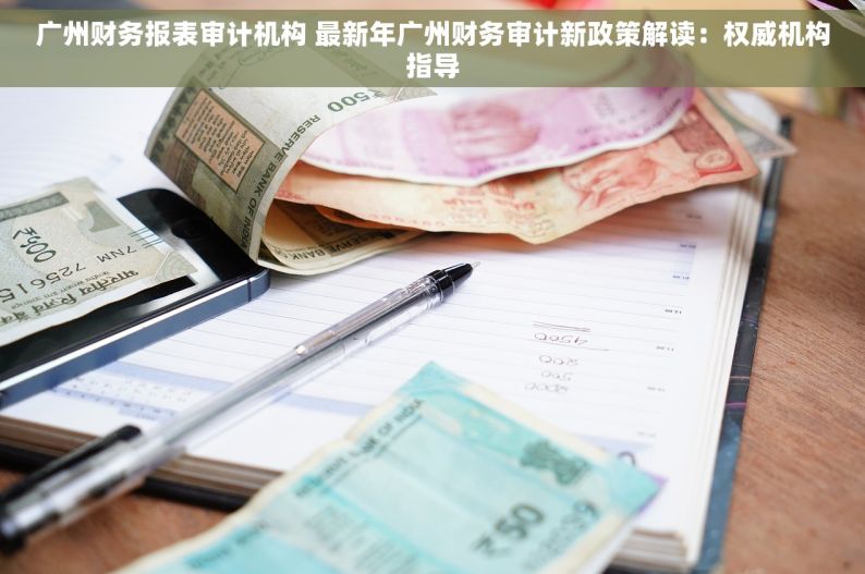 广州财务报表审计机构 最新年广州财务审计新政策解读：权威机构指导