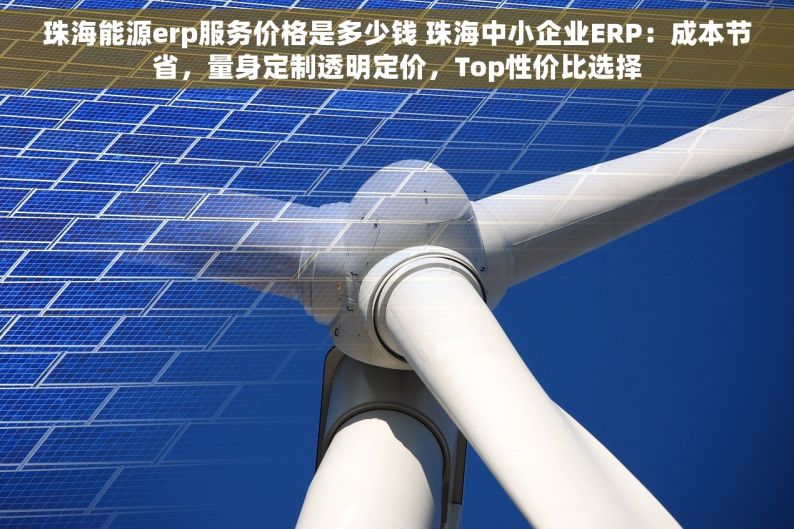 珠海能源erp服务价格是多少钱 珠海中小企业ERP：成本节省，量身定制透明定价，Top性价比选择