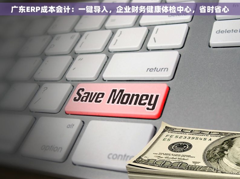 广东ERP成本会计：一键导入，企业财务健康体检中心，省时省心