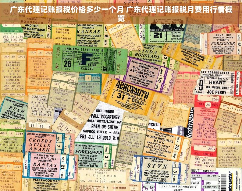 广东代理记账报税价格多少一个月 广东代理记账报税月费用行情概览