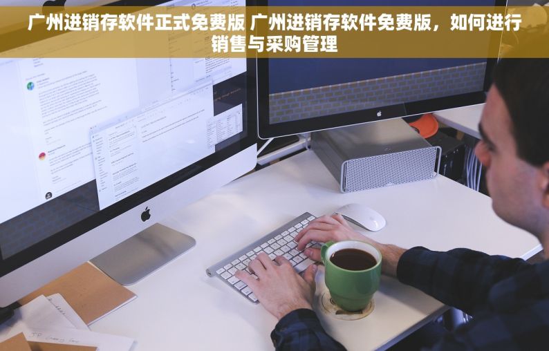 广州进销存软件正式免费版 广州进销存软件免费版，如何进行销售与采购管理