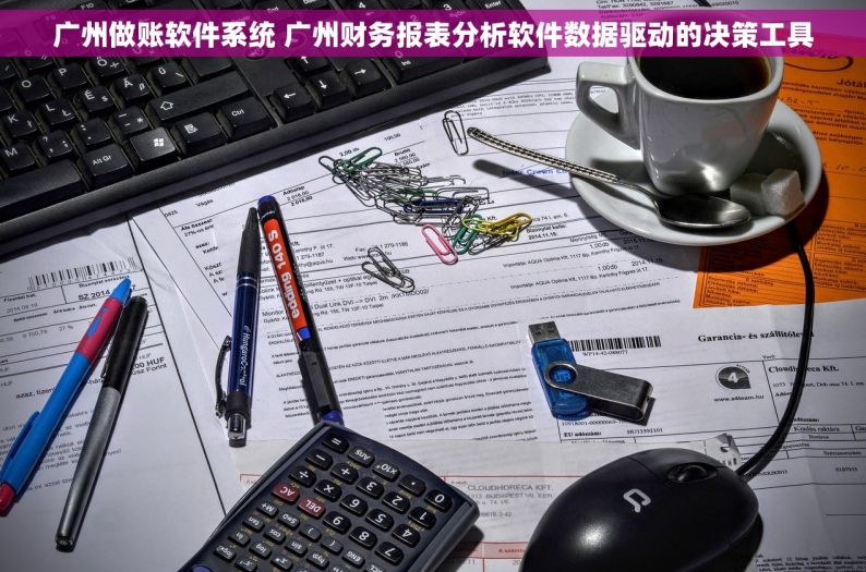 广州做账软件系统 广州财务报表分析软件数据驱动的决策工具