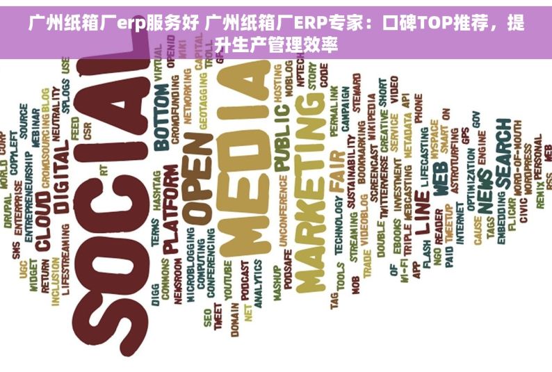 广州纸箱厂erp服务好 广州纸箱厂ERP专家：口碑TOP推荐，提升生产管理效率